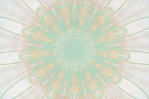 Mint Medallion White Modern Wood Framed Art Print with Double Matting by Kimberly, Allen