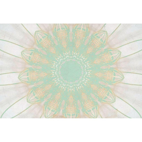 Mint Medallion Black Modern Wood Framed Art Print with Double Matting by Kimberly, Allen