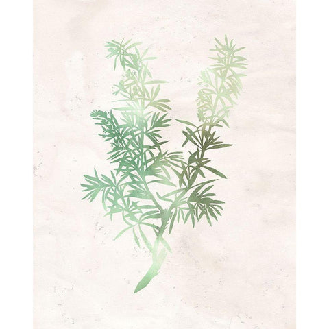 Watercolor Herb 1 White Modern Wood Framed Art Print by Kimberly, Allen