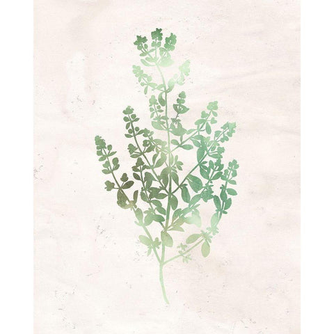 Watercolor Herb 3 White Modern Wood Framed Art Print by Kimberly, Allen