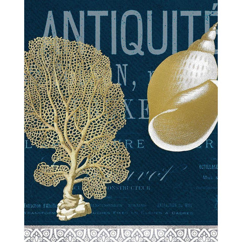 Azure Coastal 6 Gold Ornate Wood Framed Art Print with Double Matting by Kimberly, Allen