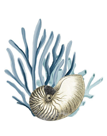 Coastal Coral 2 White Modern Wood Framed Art Print with Double Matting by Kimberly, Allen