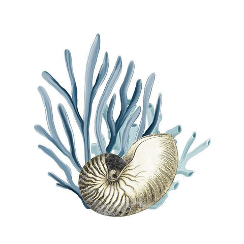 Coastal Coral 2 Gold Ornate Wood Framed Art Print with Double Matting by Kimberly, Allen
