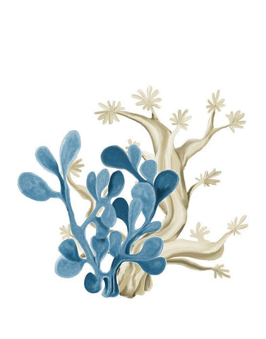 Coastal Coral 3 White Modern Wood Framed Art Print with Double Matting by Kimberly, Allen