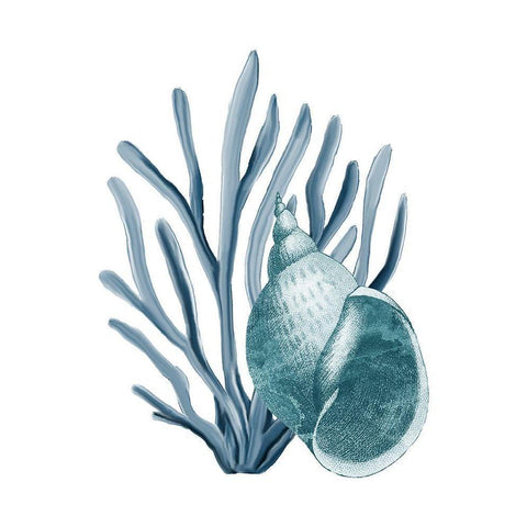 Coastal Coral 4 Gold Ornate Wood Framed Art Print with Double Matting by Kimberly, Allen