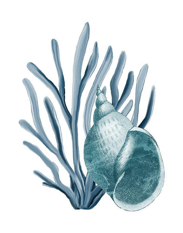 Coastal Coral 4 White Modern Wood Framed Art Print with Double Matting by Kimberly, Allen