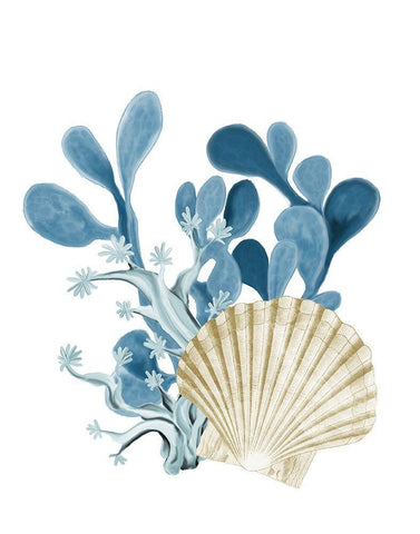 Coastal Coral 5 White Modern Wood Framed Art Print with Double Matting by Kimberly, Allen