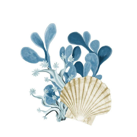 Coastal Coral 5 Black Modern Wood Framed Art Print by Kimberly, Allen