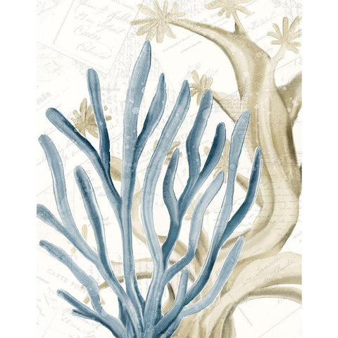 Coral Square 1 White Modern Wood Framed Art Print by Kimberly, Allen