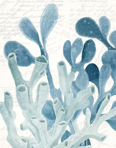 Coral Square 2 White Modern Wood Framed Art Print with Double Matting by Kimberly, Allen