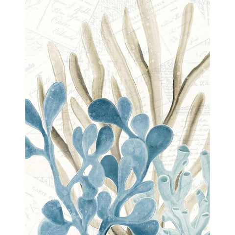 Coral Square 3 White Modern Wood Framed Art Print by Kimberly, Allen