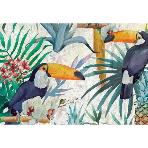 Tropical Tucan Black Modern Wood Framed Art Print with Double Matting by Kimberly, Allen