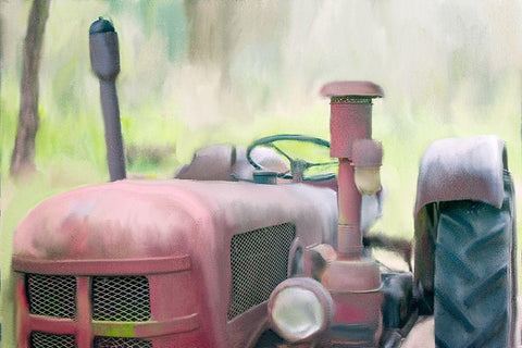 Better on The Farm Black Ornate Wood Framed Art Print with Double Matting by Kimberly, Allen