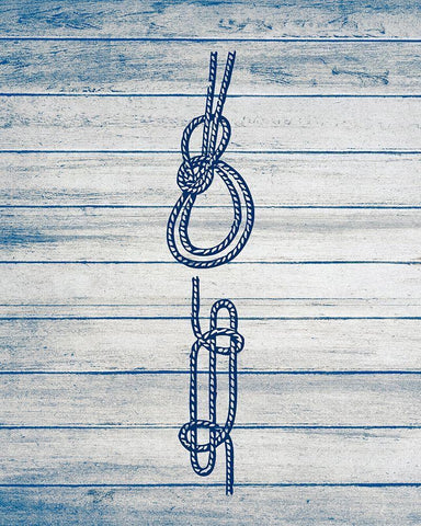 Nautical Knots 4 Black Ornate Wood Framed Art Print with Double Matting by Kimberly, Allen