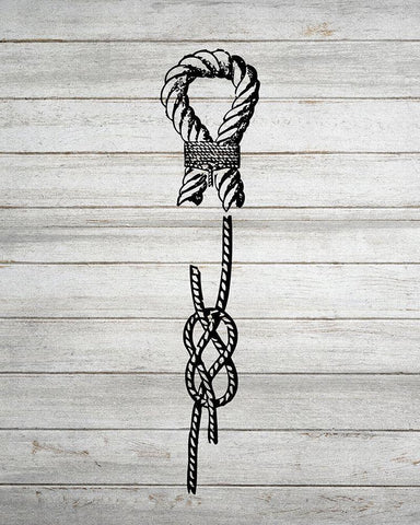 Nautical Knots 3 Black Ornate Wood Framed Art Print with Double Matting by Kimberly, Allen