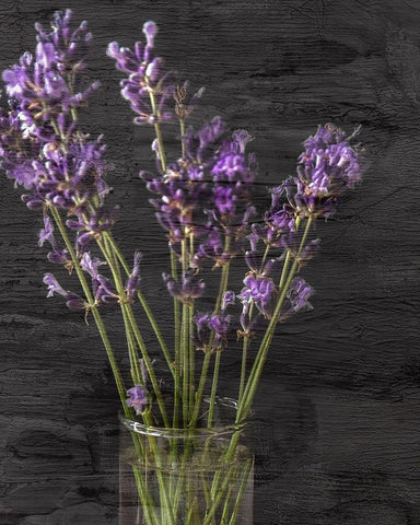 Lavender Jar 1 White Modern Wood Framed Art Print with Double Matting by Kimberly, Allen