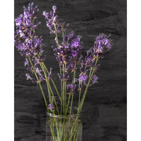 Lavender Jar 1 Black Modern Wood Framed Art Print by Kimberly, Allen