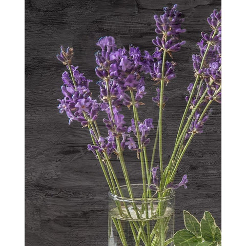 Lavender Jar 2 Black Modern Wood Framed Art Print with Double Matting by Kimberly, Allen