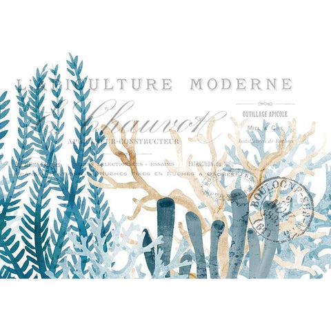 Coral Cove Blue 1 White Modern Wood Framed Art Print by Kimberly, Allen