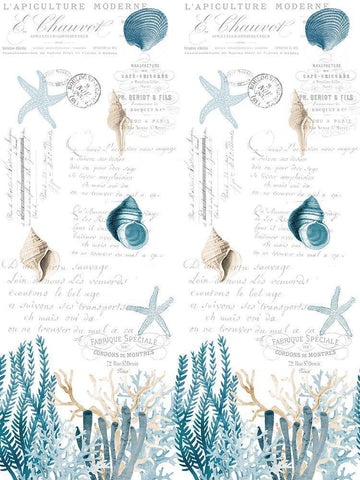 Coral Cove Blue Full White Modern Wood Framed Art Print with Double Matting by Kimberly, Allen