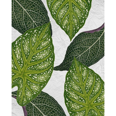 My Greens 1 Black Modern Wood Framed Art Print with Double Matting by Kimberly, Allen