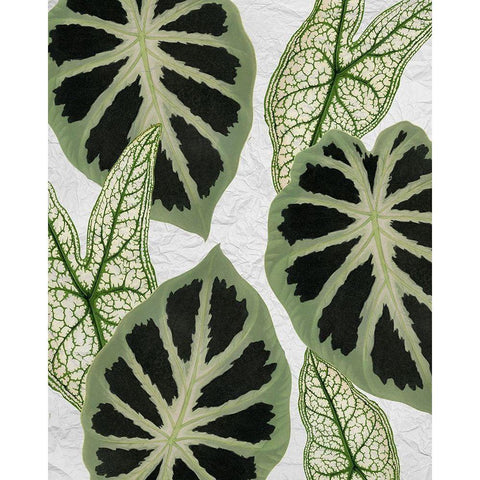 My Greens 2 White Modern Wood Framed Art Print by Kimberly, Allen