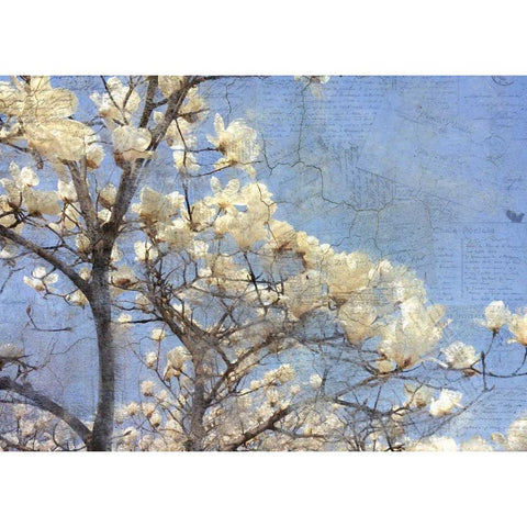 Magnolia Dream White Modern Wood Framed Art Print by Allen, Kimberly