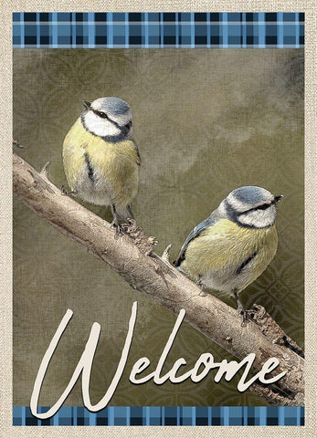 Welcome Blue Birds White Modern Wood Framed Art Print with Double Matting by Kimberly, Allen
