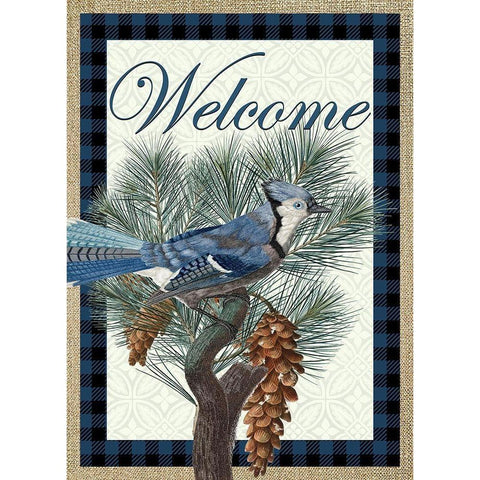 Blue Jay Welcome White Modern Wood Framed Art Print by Kimberly, Allen