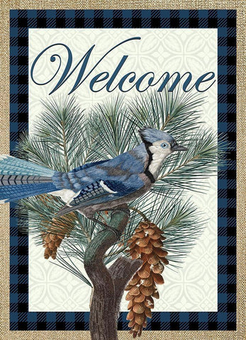 Blue Jay Welcome White Modern Wood Framed Art Print with Double Matting by Kimberly, Allen