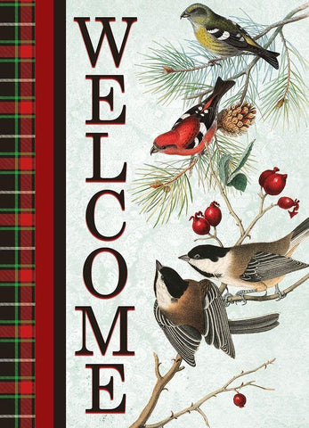Christmas Birds Welcome White Modern Wood Framed Art Print with Double Matting by Kimberly, Allen