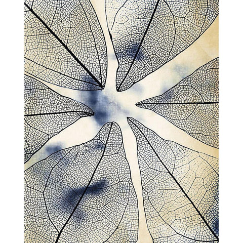 Transparent Leaves 1 White Modern Wood Framed Art Print by Kimberly, Allen