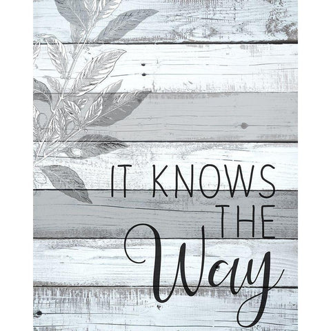 Follow Your Soul 2 Black Modern Wood Framed Art Print by Kimberly, Allen