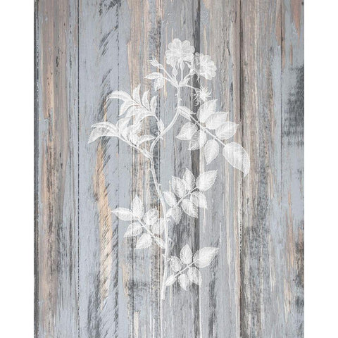 Botanical Wood 1 Black Modern Wood Framed Art Print with Double Matting by Kimberly, Allen