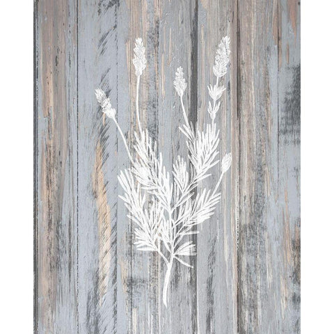 Botanical Wood 3 White Modern Wood Framed Art Print by Kimberly, Allen