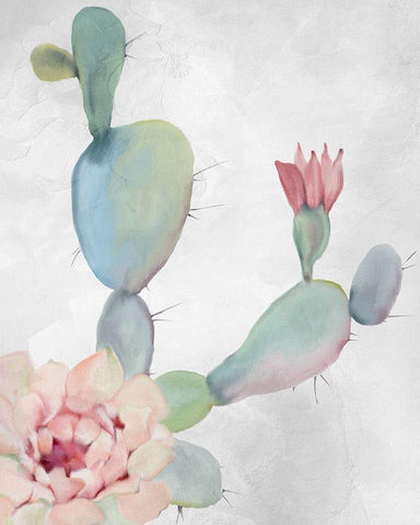 Cactus Blooming 1 White Modern Wood Framed Art Print with Double Matting by Kimberly, Allen