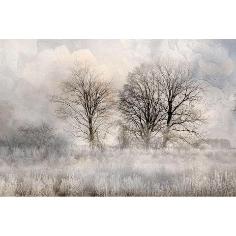 Winter Frost 3 Gold Ornate Wood Framed Art Print with Double Matting by Allen, Kimberly