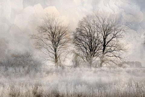 Winter Frost 3 White Modern Wood Framed Art Print with Double Matting by Allen, Kimberly