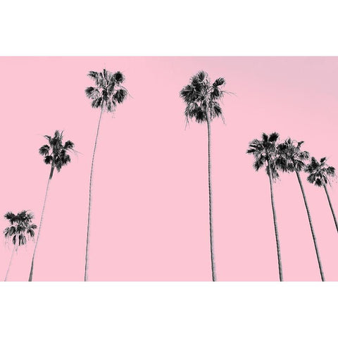 Pink Palms Black Modern Wood Framed Art Print with Double Matting by Kimberly, Allen