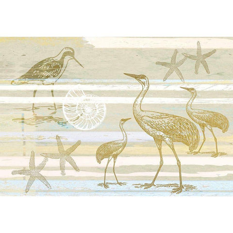 Coastal Sands White Modern Wood Framed Art Print by Kimberly, Allen