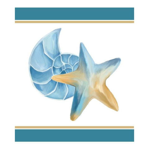 Seashore Shells 2 White Modern Wood Framed Art Print by Kimberly, Allen