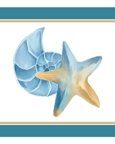 Seashore Shells 2 White Modern Wood Framed Art Print with Double Matting by Kimberly, Allen