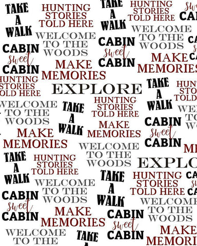 Sweet Cabin 4 White Modern Wood Framed Art Print with Double Matting by Kimberly, Allen