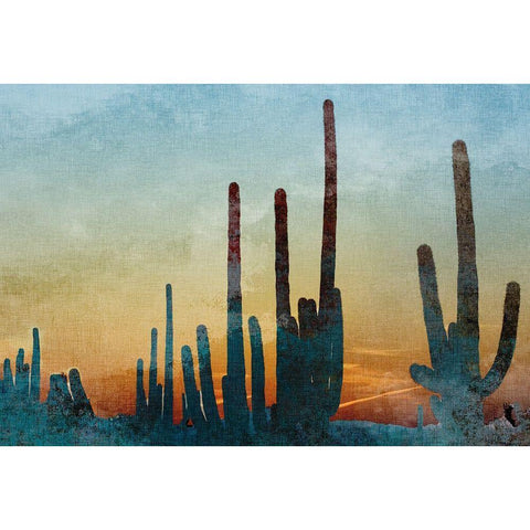 Saguaro Cactus Black Modern Wood Framed Art Print with Double Matting by Kimberly, Allen