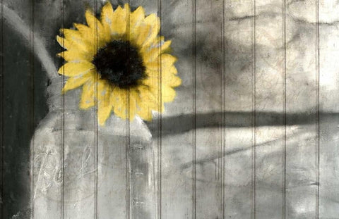 A Pop Of Yellow Black Ornate Wood Framed Art Print with Double Matting by Allen, Kimberly