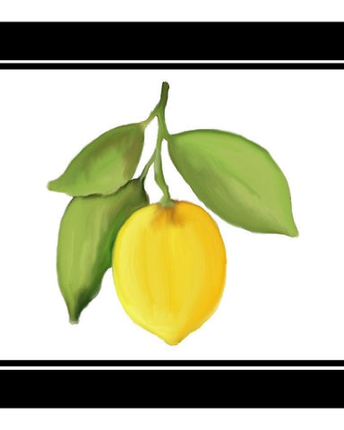 Fresh Lemons 2 White Modern Wood Framed Art Print with Double Matting by Kimberly, Allen