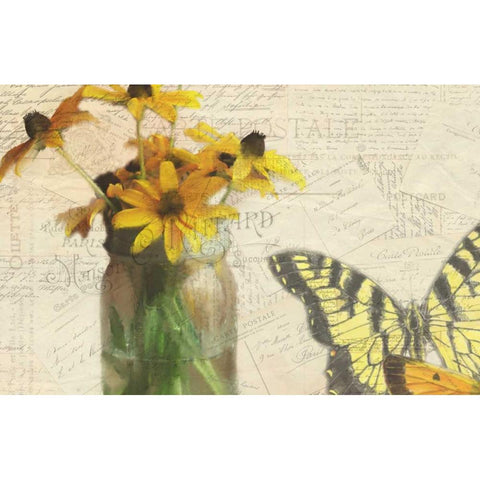 Carte Postale Sunflowers Black Modern Wood Framed Art Print by Allen, Kimberly