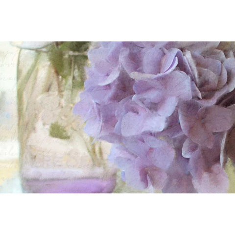 Hydrangea Jar Black Modern Wood Framed Art Print by Allen, Kimberly