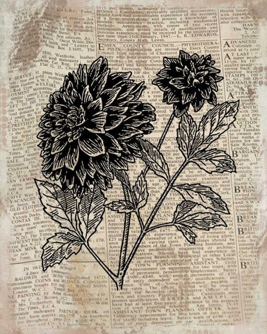 Floral On Print 1 White Modern Wood Framed Art Print with Double Matting by Allen, Kimberly