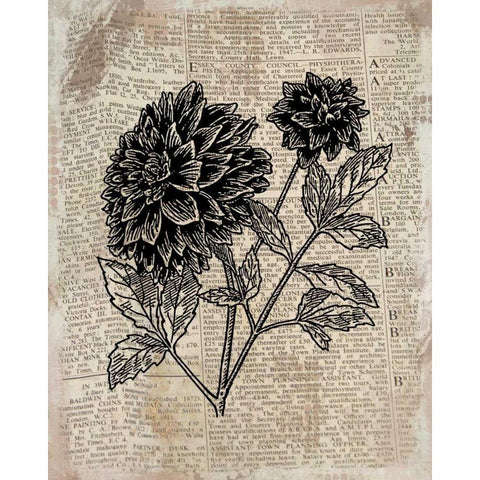 Floral On Print 1 Black Modern Wood Framed Art Print with Double Matting by Allen, Kimberly
